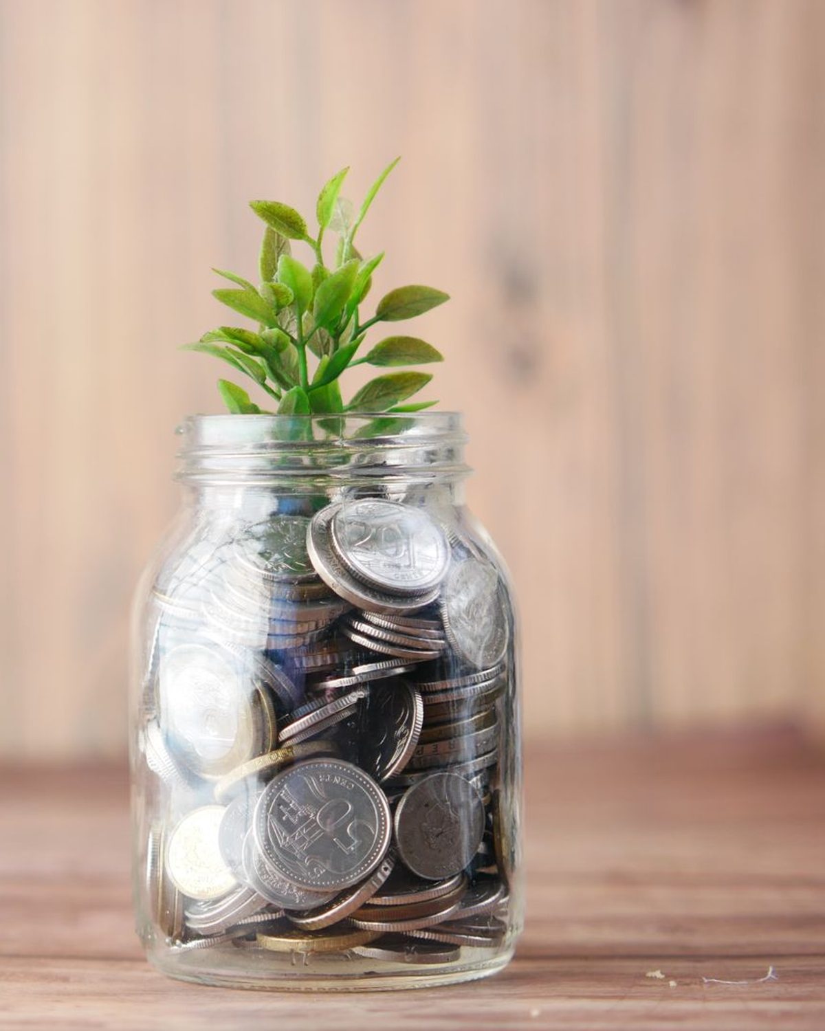 A glass jar full of coins with a young plant growing out of it.